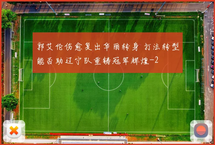 郭艾伦伤愈复出华丽转身 打法转型能否助辽宁队重铸冠军辉煌